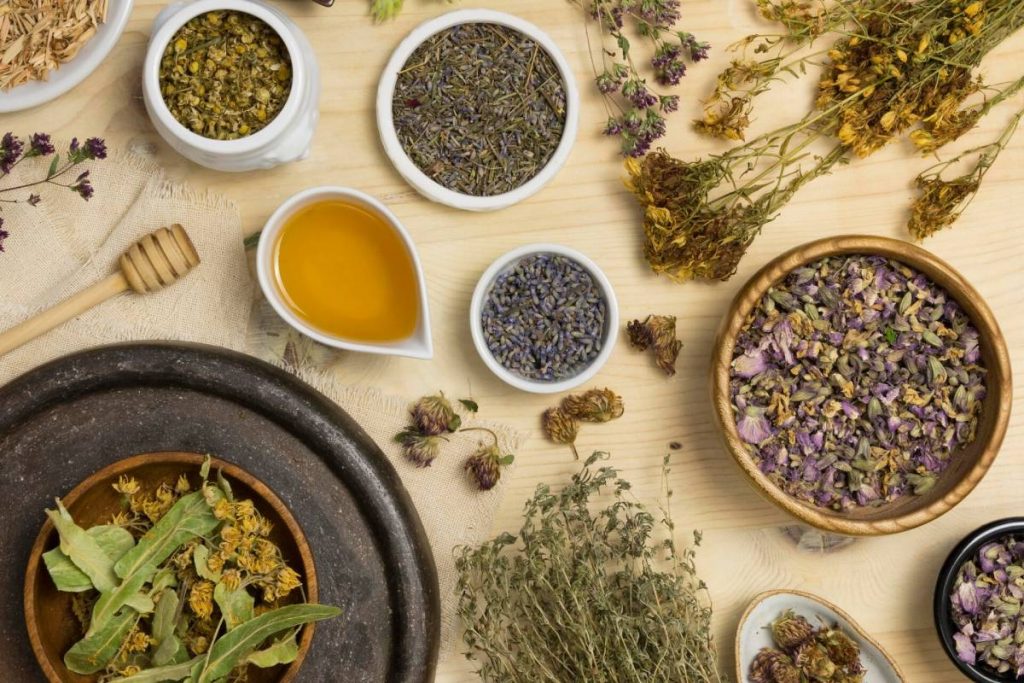 herbal products manufacturer