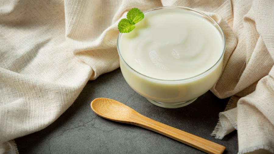 yogurt