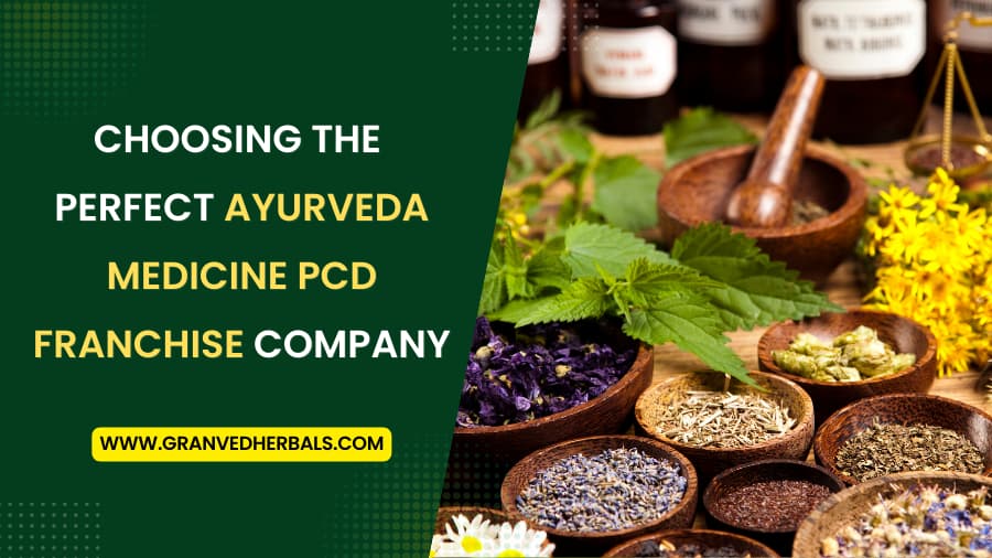 Choosing the Perfect Ayurveda Medicine PCD Franchise Company